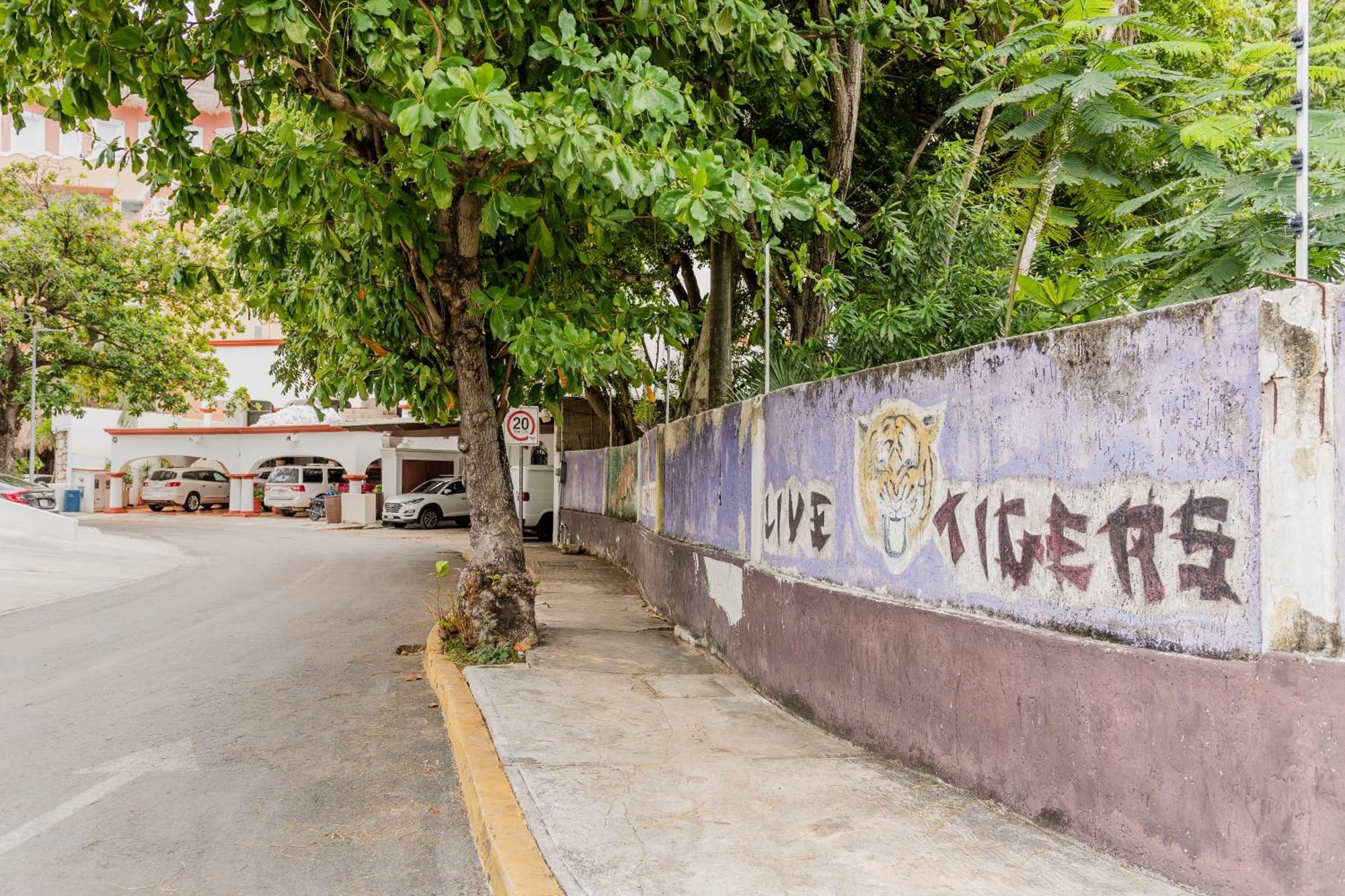 Seaak Cancun Rentals Zewnętrze zdjęcie